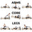 Pilates Studio Reformer