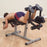 Body-Solid Seated Leg Extension & Supine Curl GLCE365