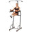 Body-Solid Powerline Vertical Knee Raise Chin Dip PVKC83X