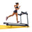 LifeSpan Fitness TR6000i Light Commercial Treadmill