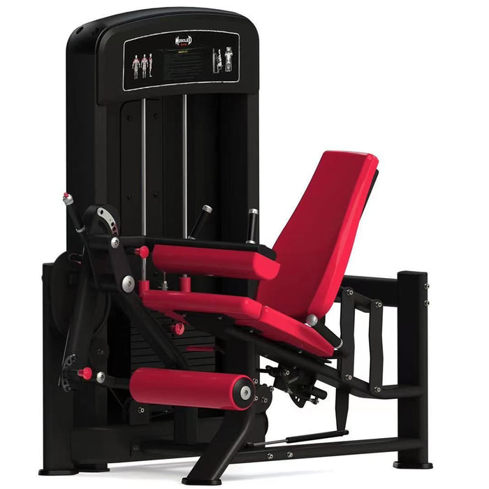 Muscle D Elite Seated Leg Curl Leg Extension Combo MDE-22