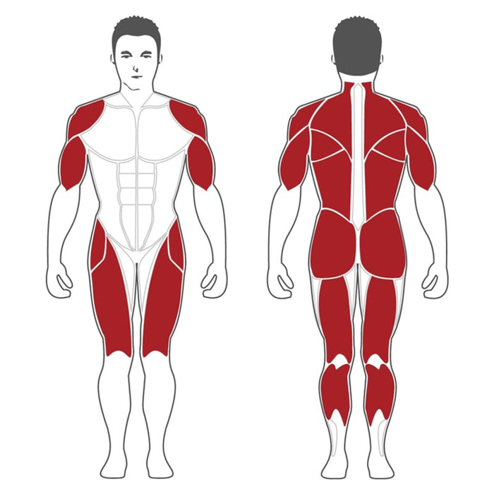 Steelflex Squat Deadlift Lunge PL2300