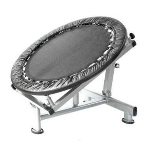 Xtreme Monkey Medicine Ball Rebounder XM-3303