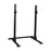 Body-Solid Pro Club Squat Stand SPR250