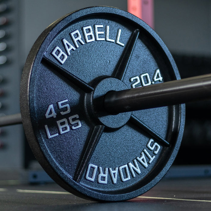 Synergee Standard Metal Weight Plates