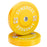 Synergee Bumper Plates