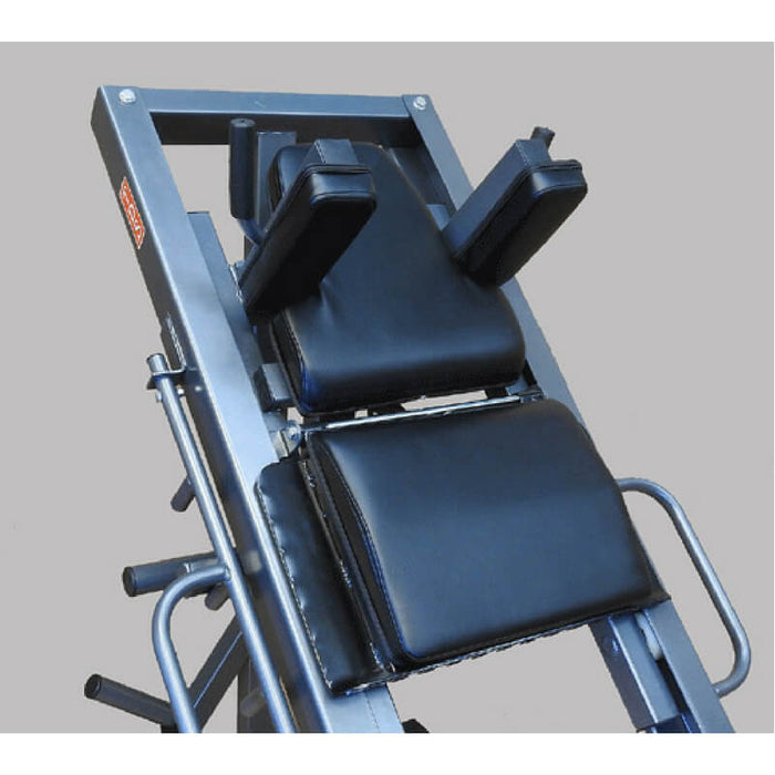 TDS Fitness 4-Way Leg Press Hip Sled Hack Squat TDS-35755-G